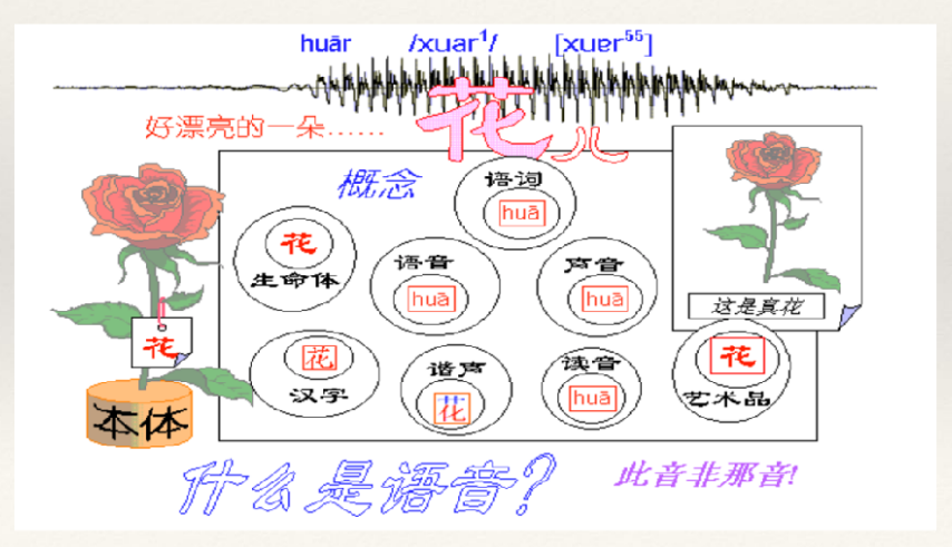 Phonetics